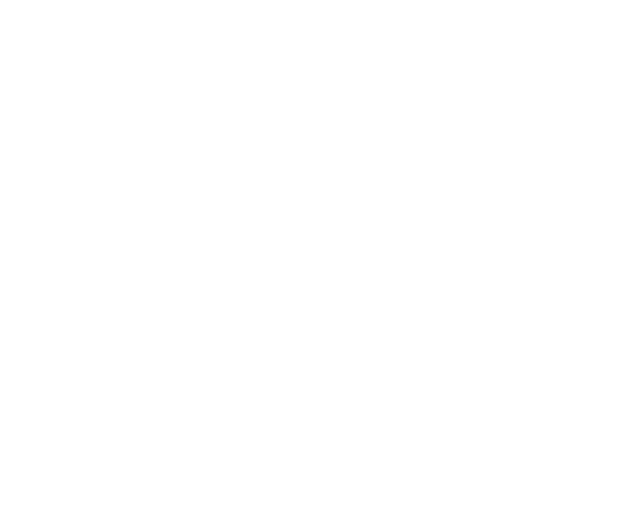 SAY-WE-LOGO-WHITE